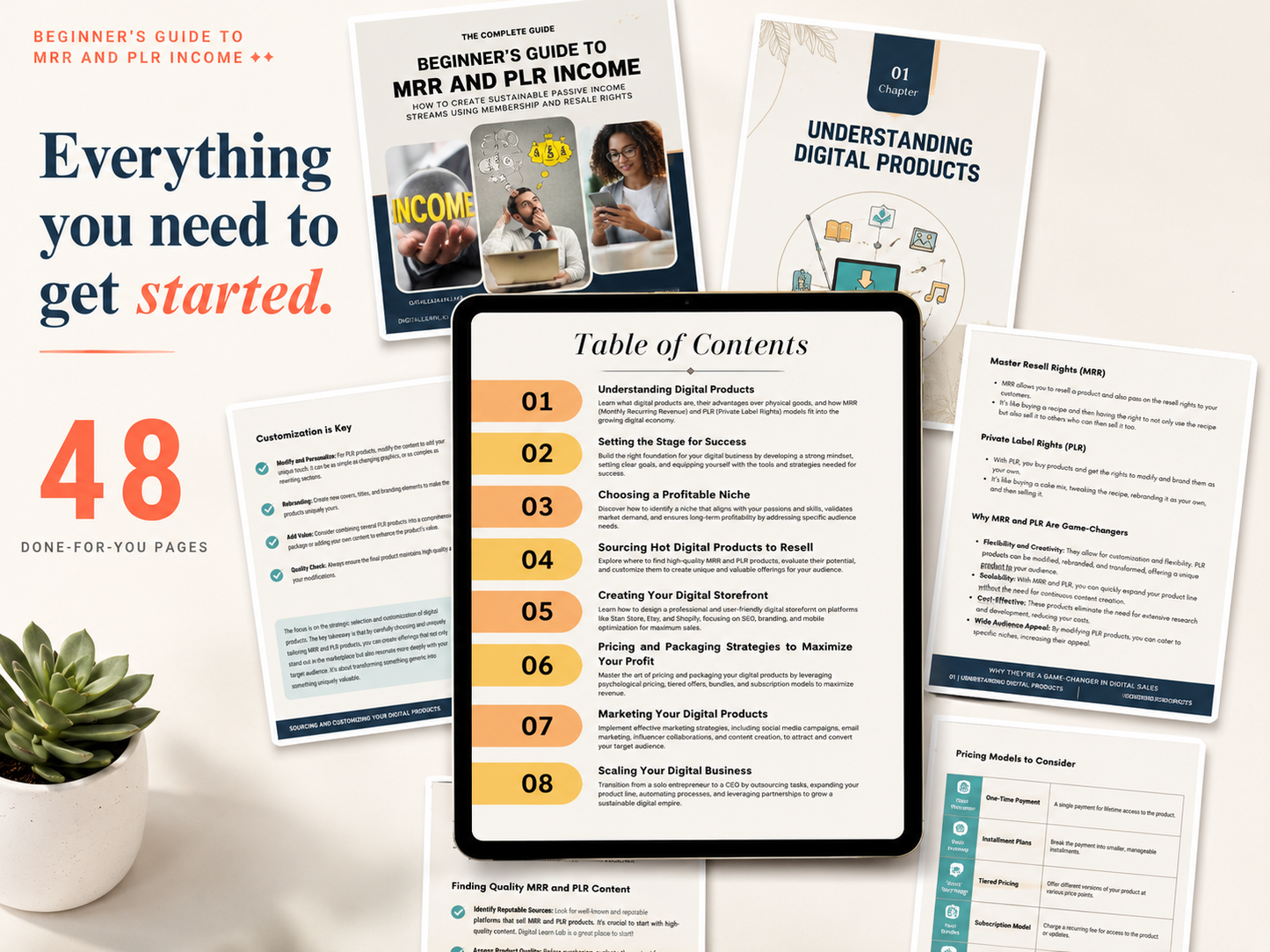 Beginner's Guide to MRR & PLR Income (48-Page Complete Edition)