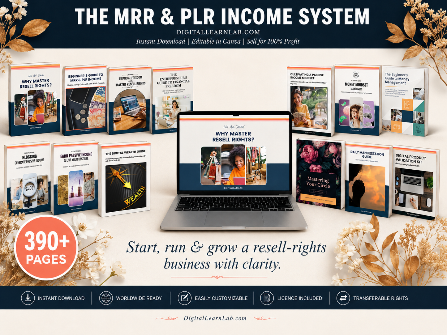 MRR & PLR Income System Bundle