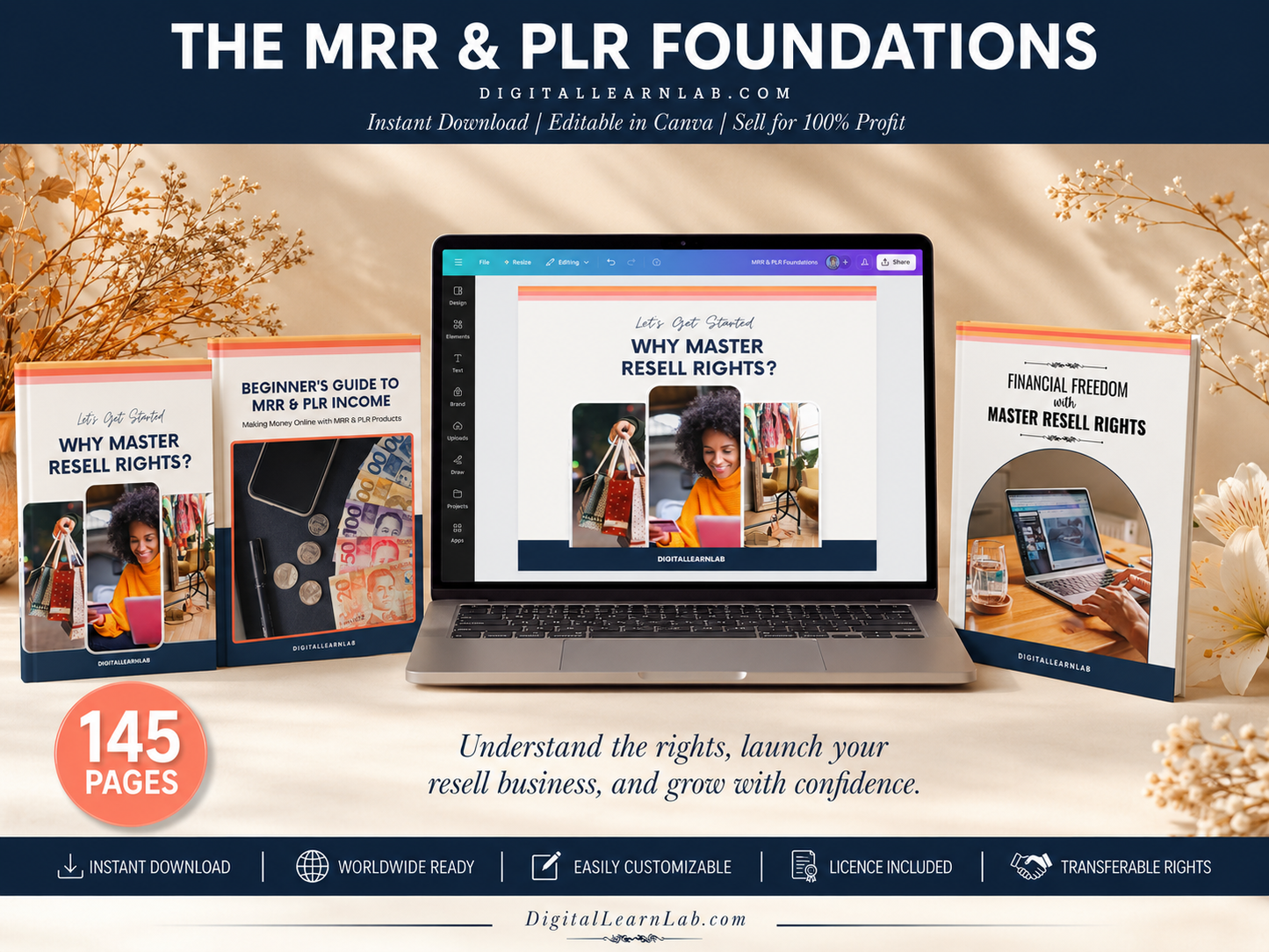 MRR & PLR Income System Bundle