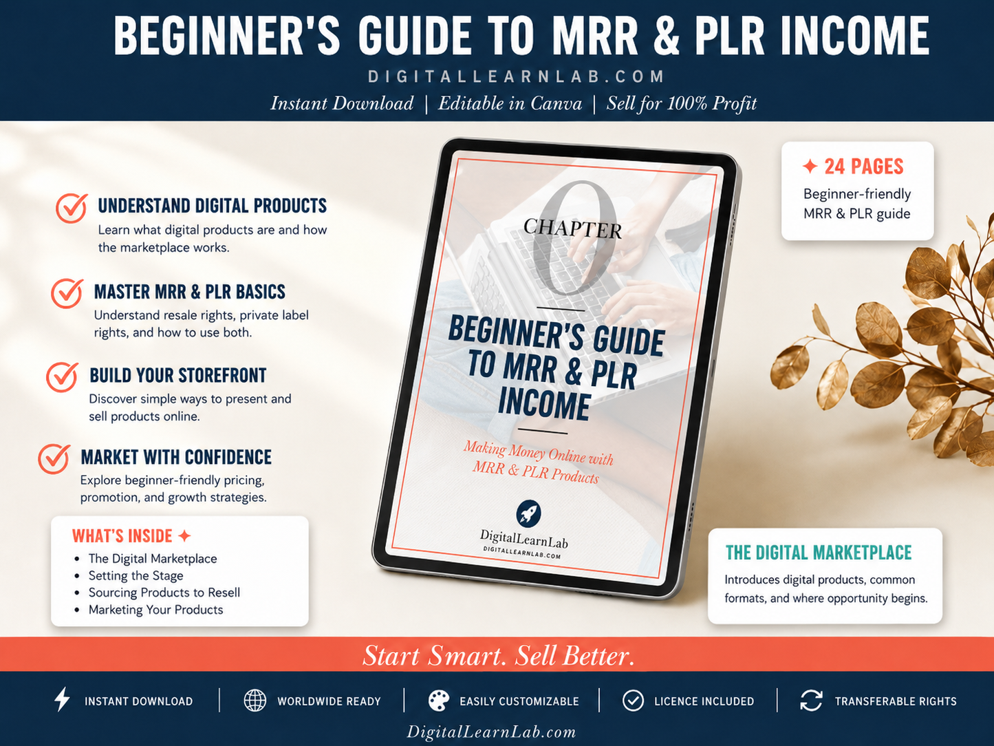 Beginner's Guide to MRR & PLR Income (Starter Guide)