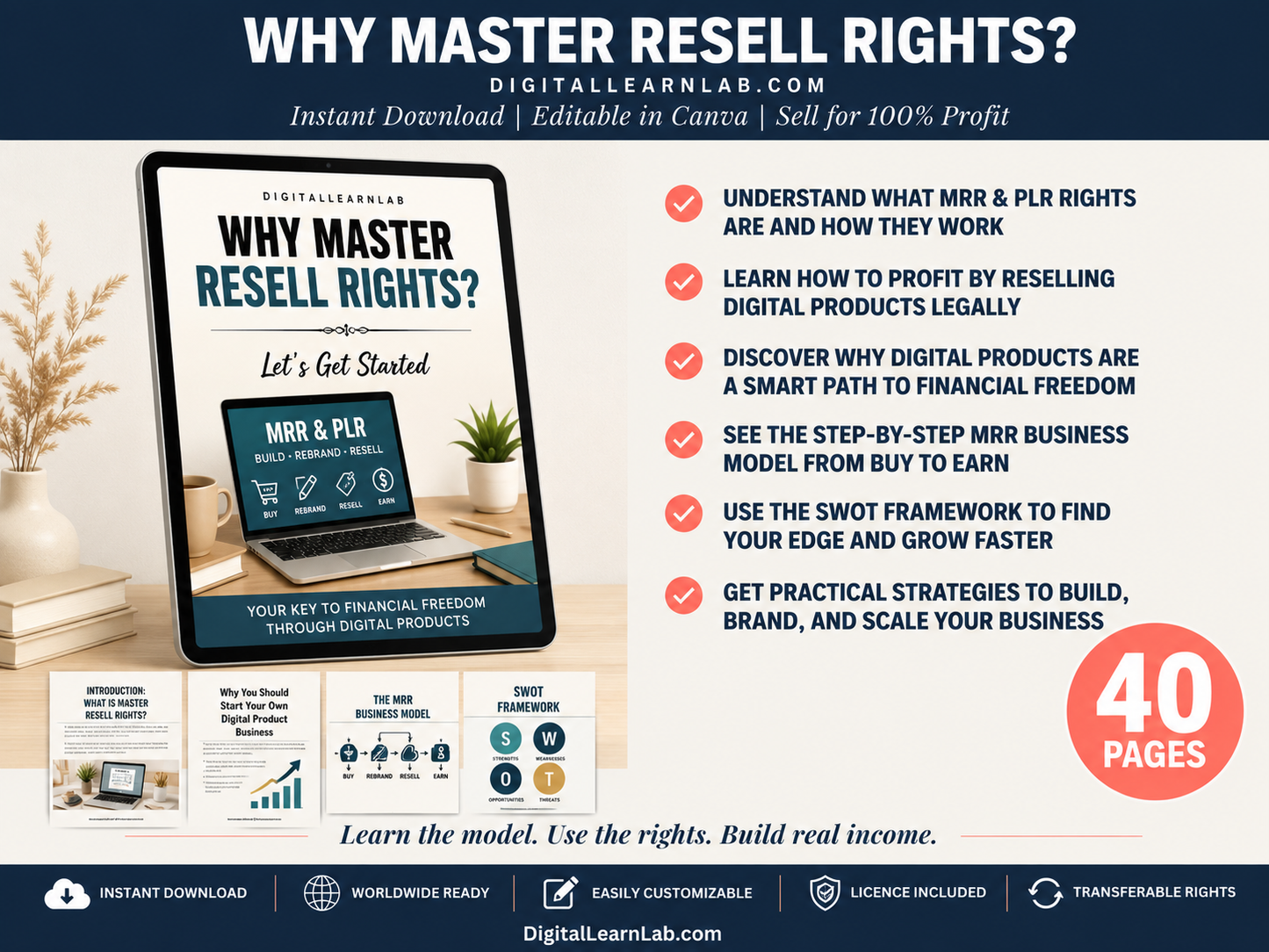 MRR & PLR Income System Bundle